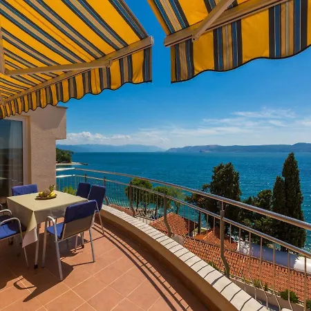 Vanda * セルツェ