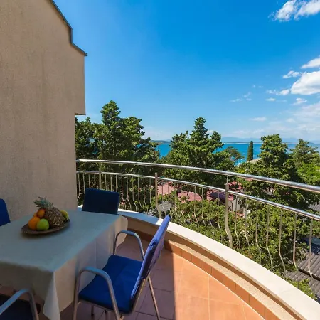 Vanda * セルツェ